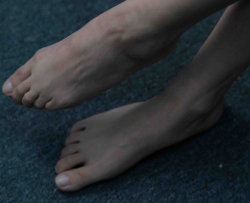 SY113������������4K��14����