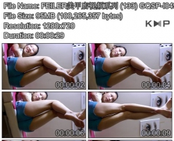 FEILER׵Ƶϵ (133) GQSP-I049