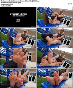 vc allie allie blue bench bike rack Soles of Silk